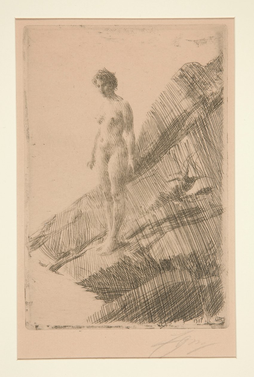 Tai tekijältä Anders Leonard Zorn