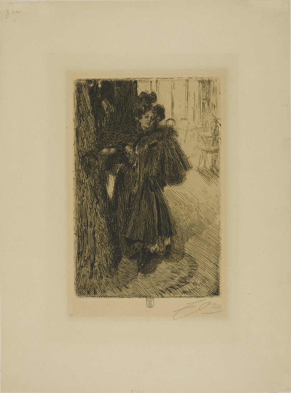 Yöefekti II tekijältä Anders Leonard Zorn