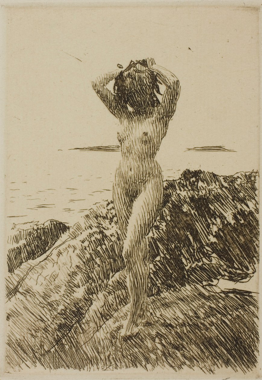 Hårtång (merileväseppele) tekijältä Anders Zorn
