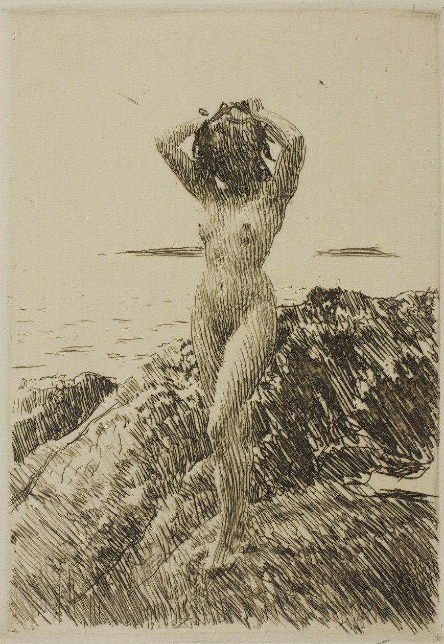Hårtång (merileväseppele) tekijältä Anders Leonard Zorn