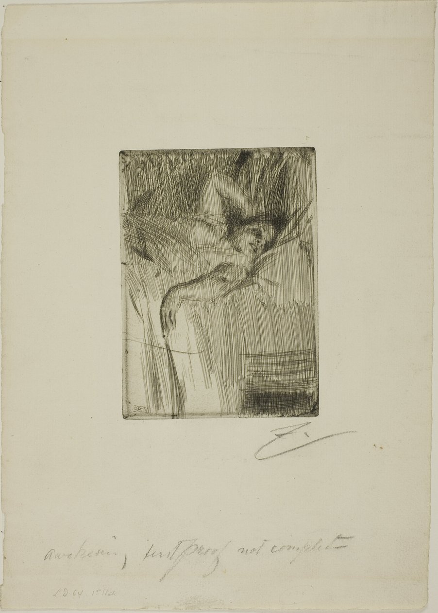 Hälytys tekijältä Anders Leonard Zorn