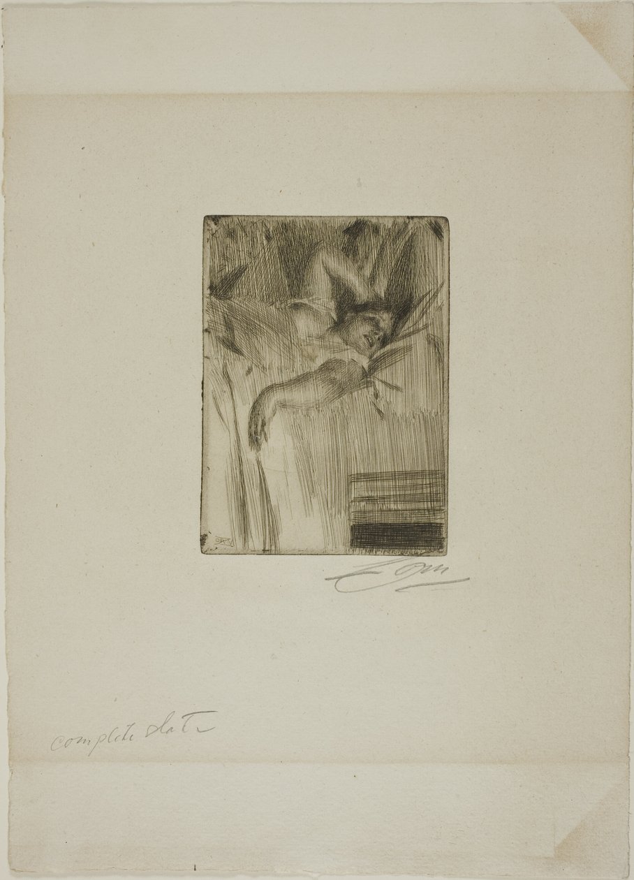 Hälytys tekijältä Anders Leonard Zorn