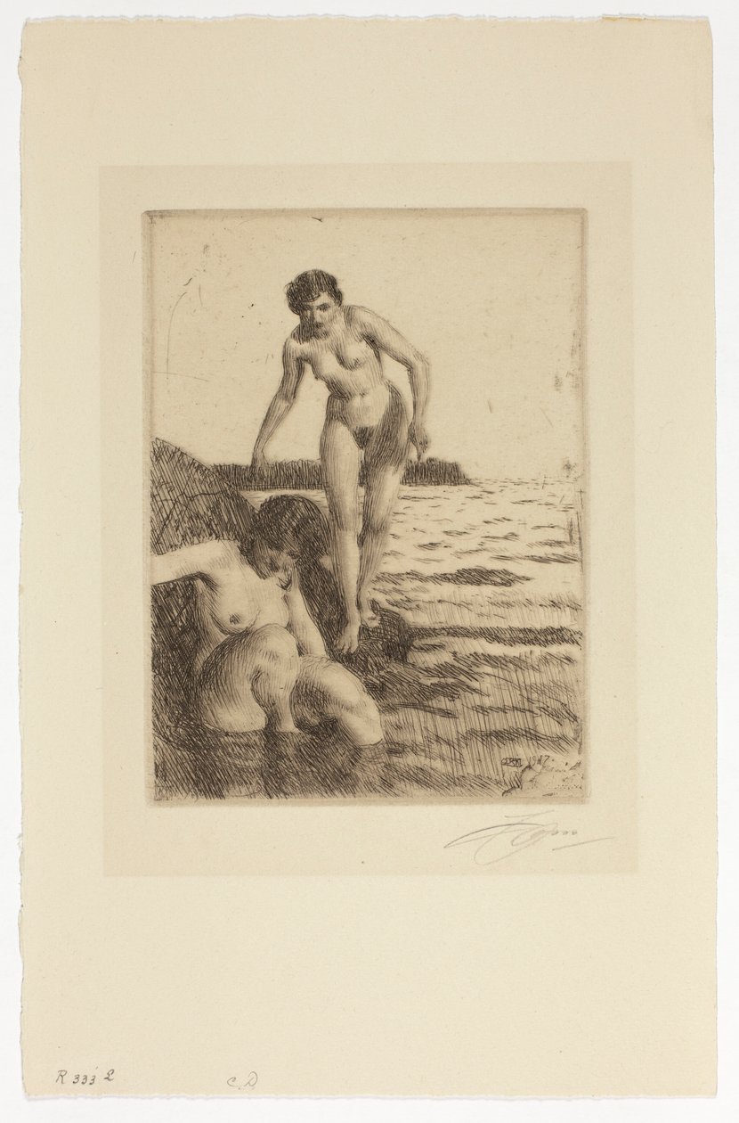 Hemsön saarella tekijältä Anders Zorn