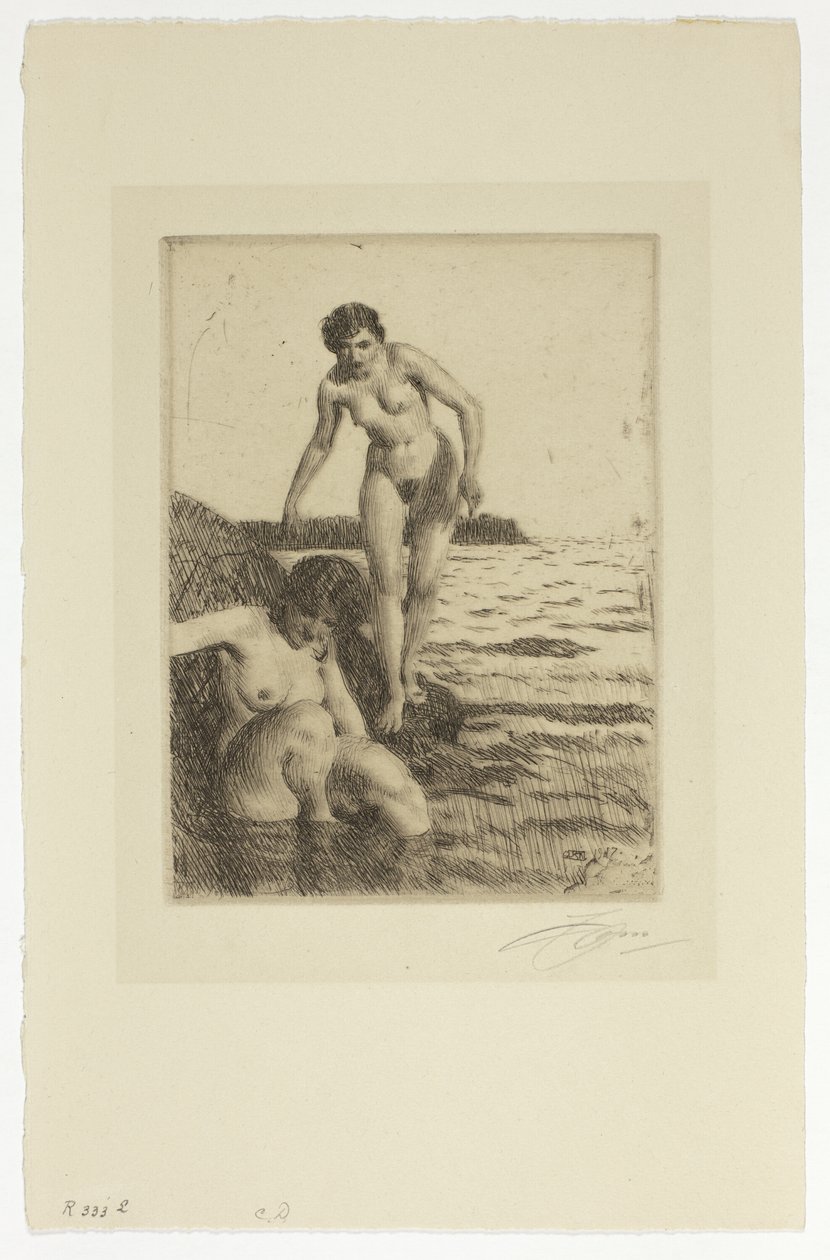 Hemsön saarella tekijältä Anders Leonard Zorn