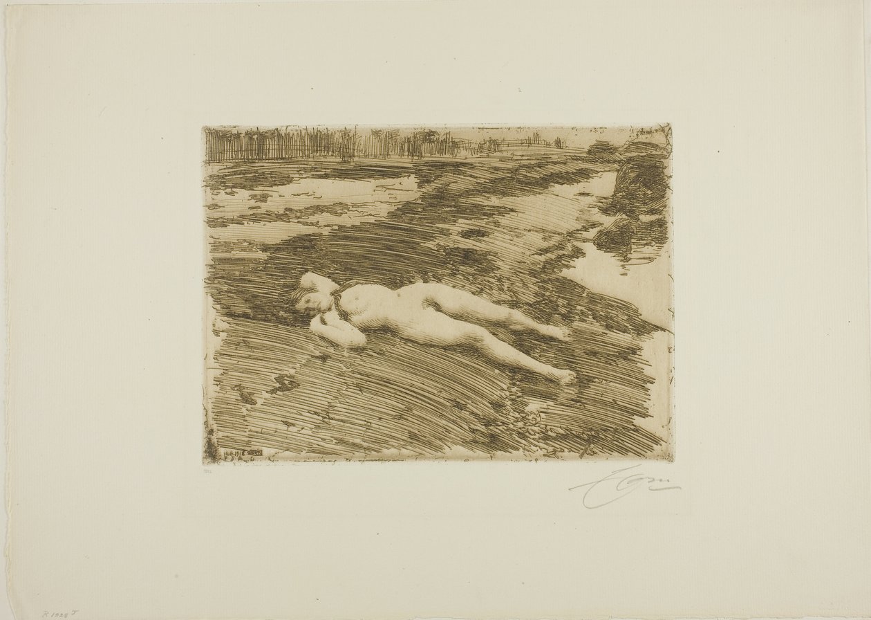Hiekoilla tekijältä Anders Leonard Zorn