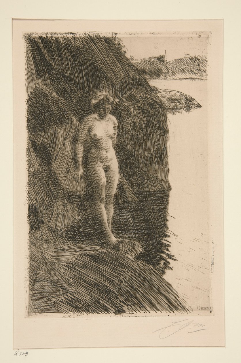 Erityisesti tekijältä Anders Leonard Zorn