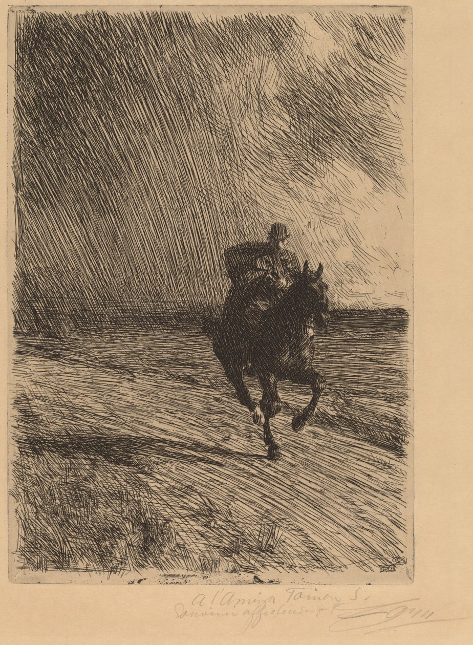 Myrsky tekijältä Anders Leonard Zorn