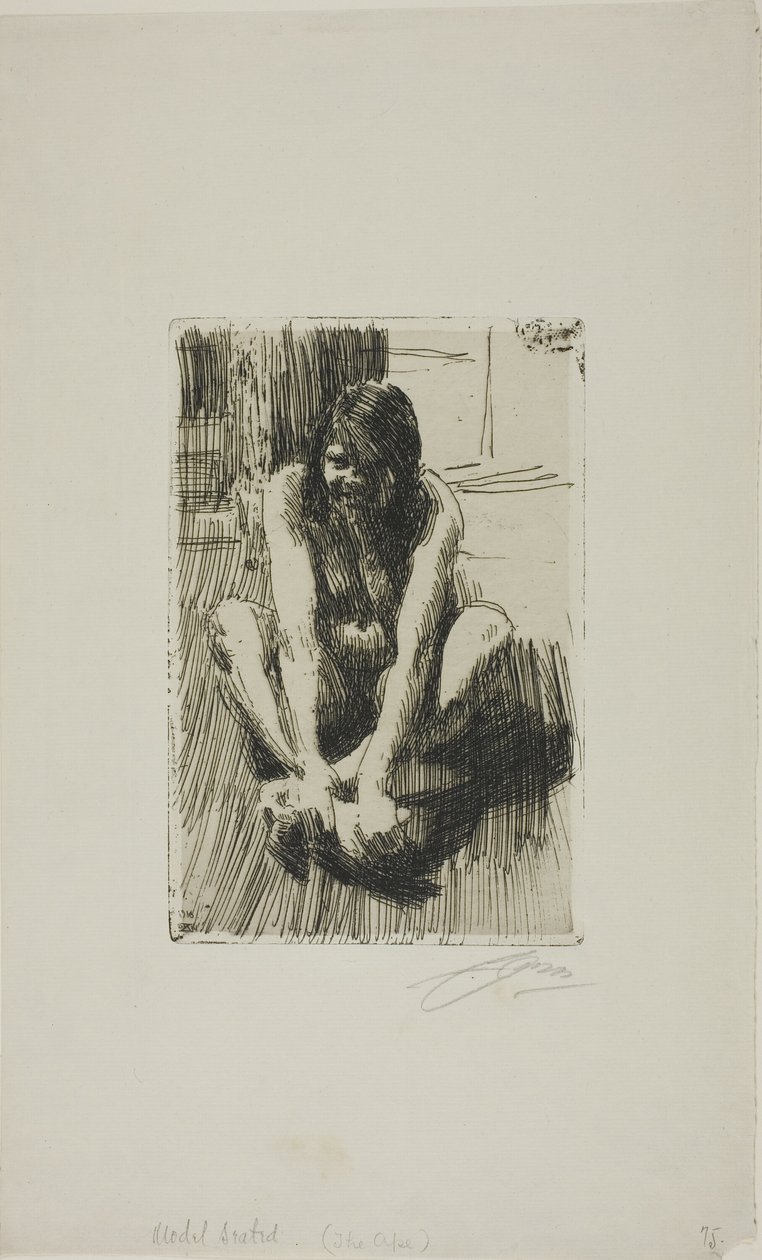 Sammakko tekijältä Anders Leonard Zorn