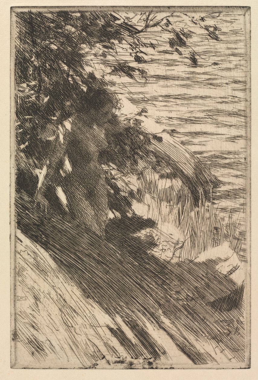 Suuri uimari tekijältä Anders Leonard Zorn