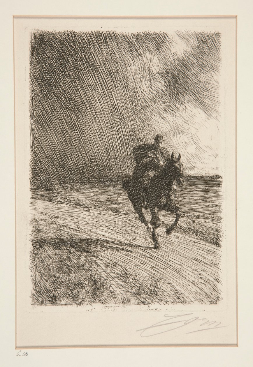 Myrsky tekijältä Anders Leonard Zorn