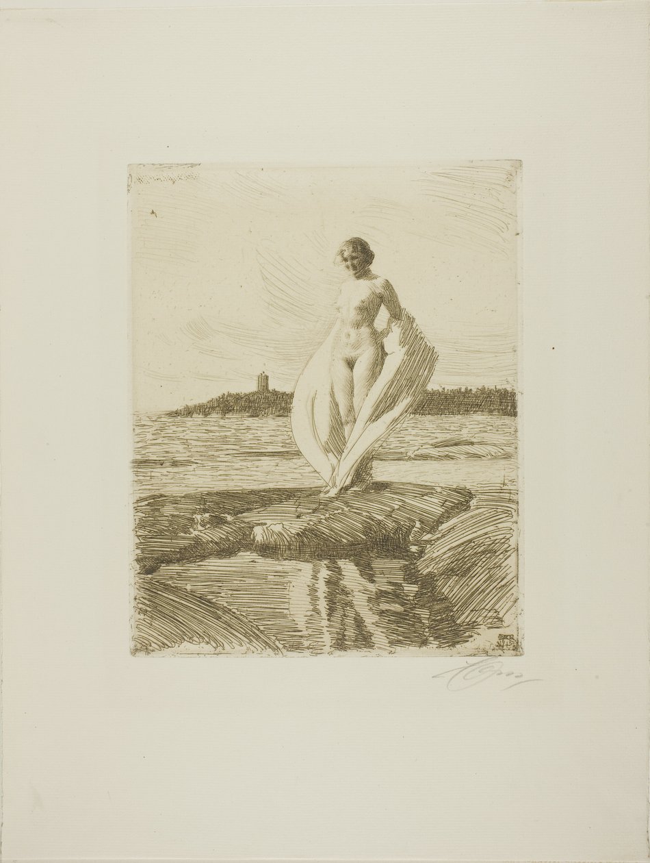 Joutsen tekijältä Anders Leonard Zorn