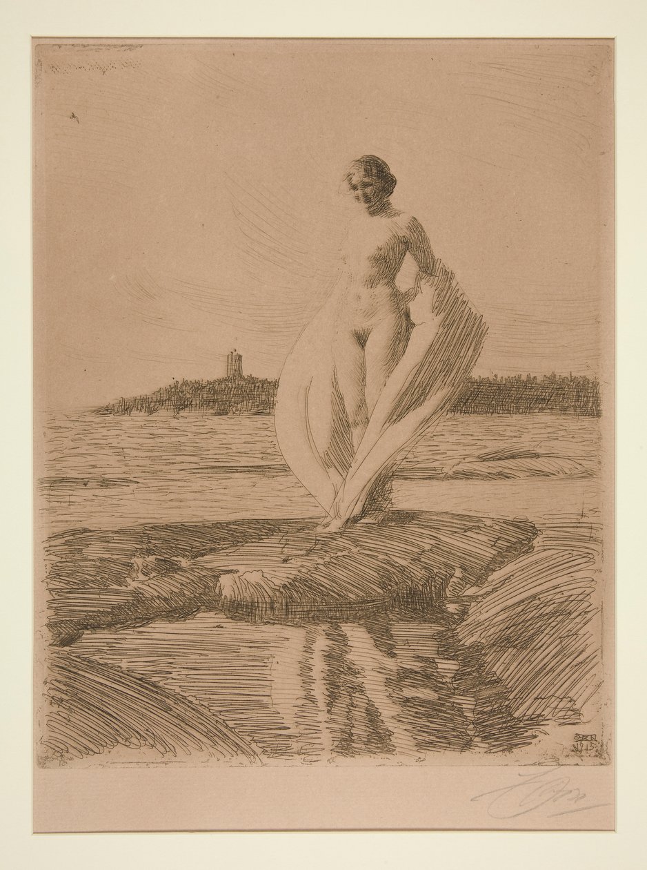 Joutsen tekijältä Anders Leonard Zorn