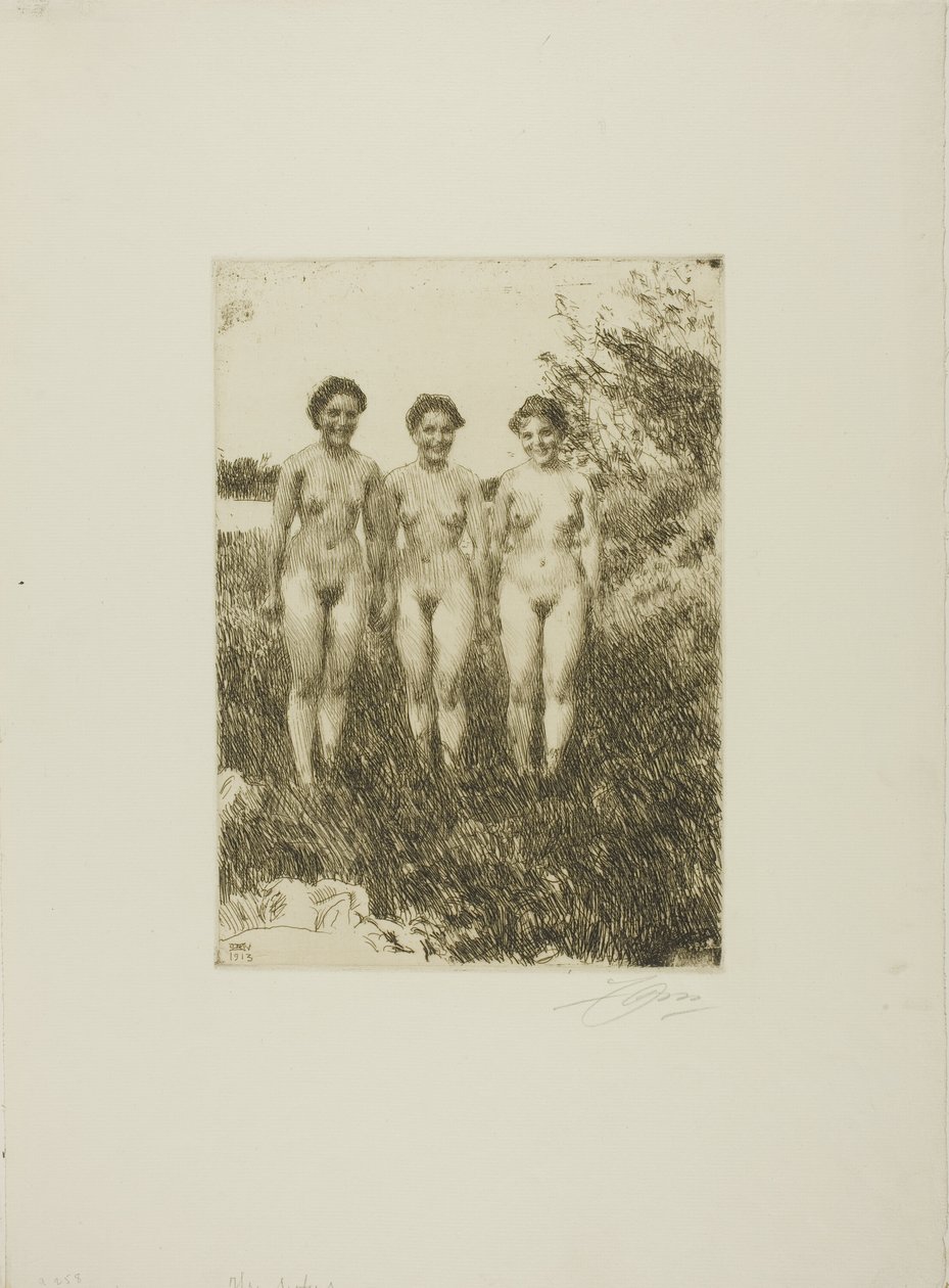 Kolme siskoa tekijältä Anders Leonard Zorn
