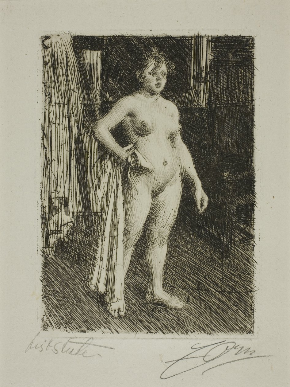 Venus La Villettesta tekijältä Anders Leonard Zorn