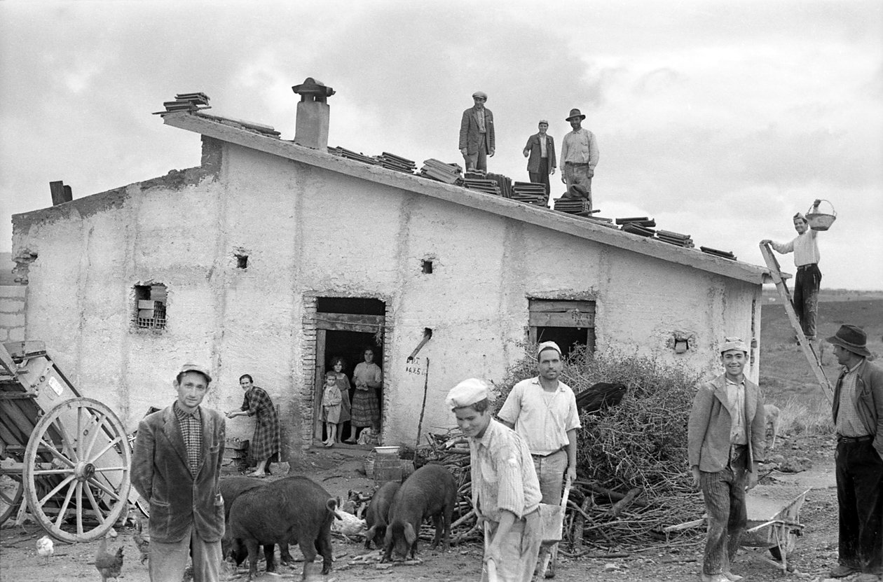 JUHLIVAT KATON KATETTA, tekijältä Ando Gilardi