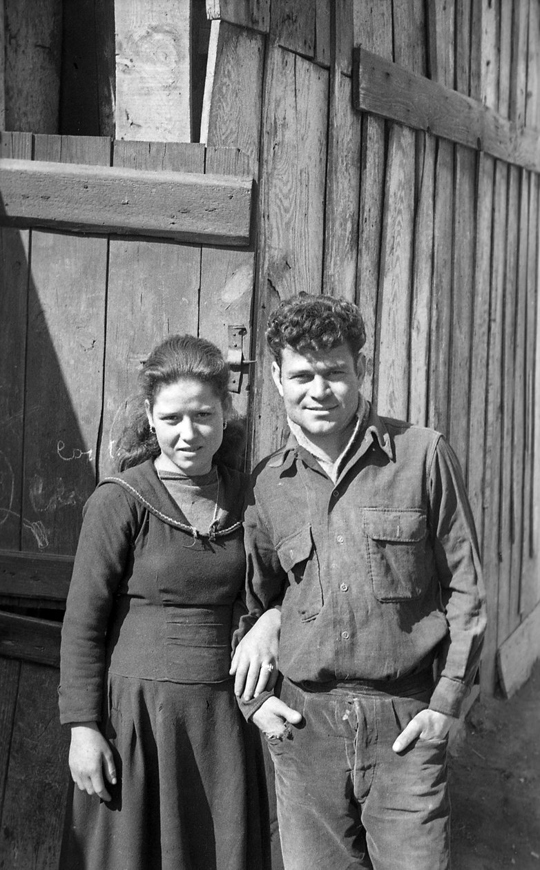 CROTONE - SITOUTUNEET NUORET tekijältä Ando Gilardi