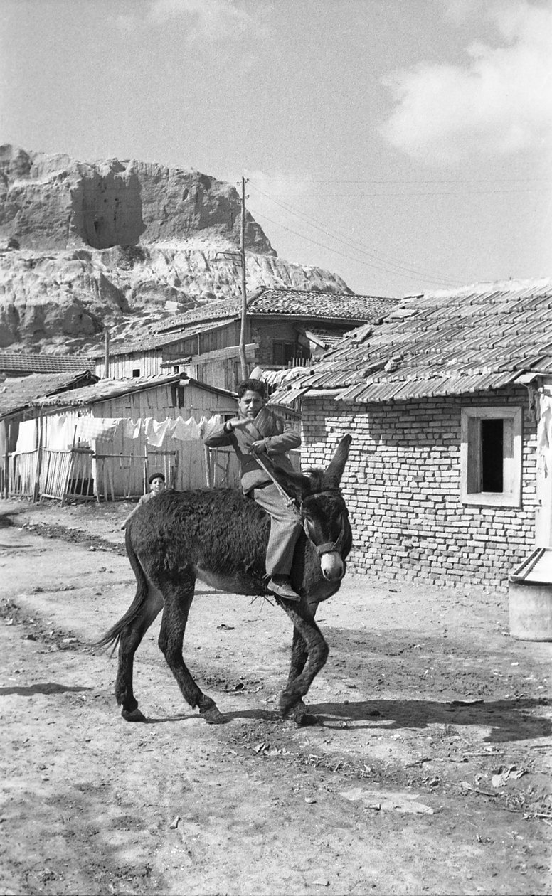 CROTONE - NUORI MUULIKUSKI tekijältä Ando Gilardi