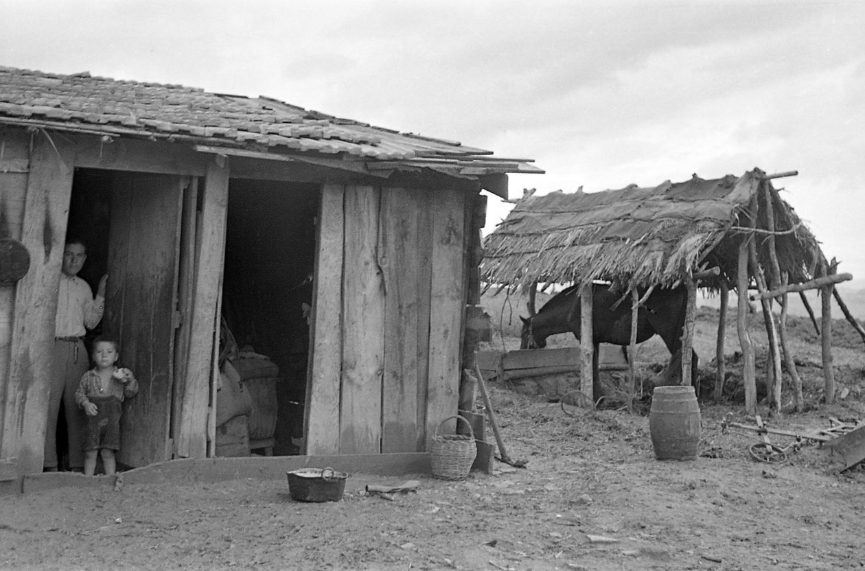 CROTONE KAMPANJA tekijältä Ando Gilardi