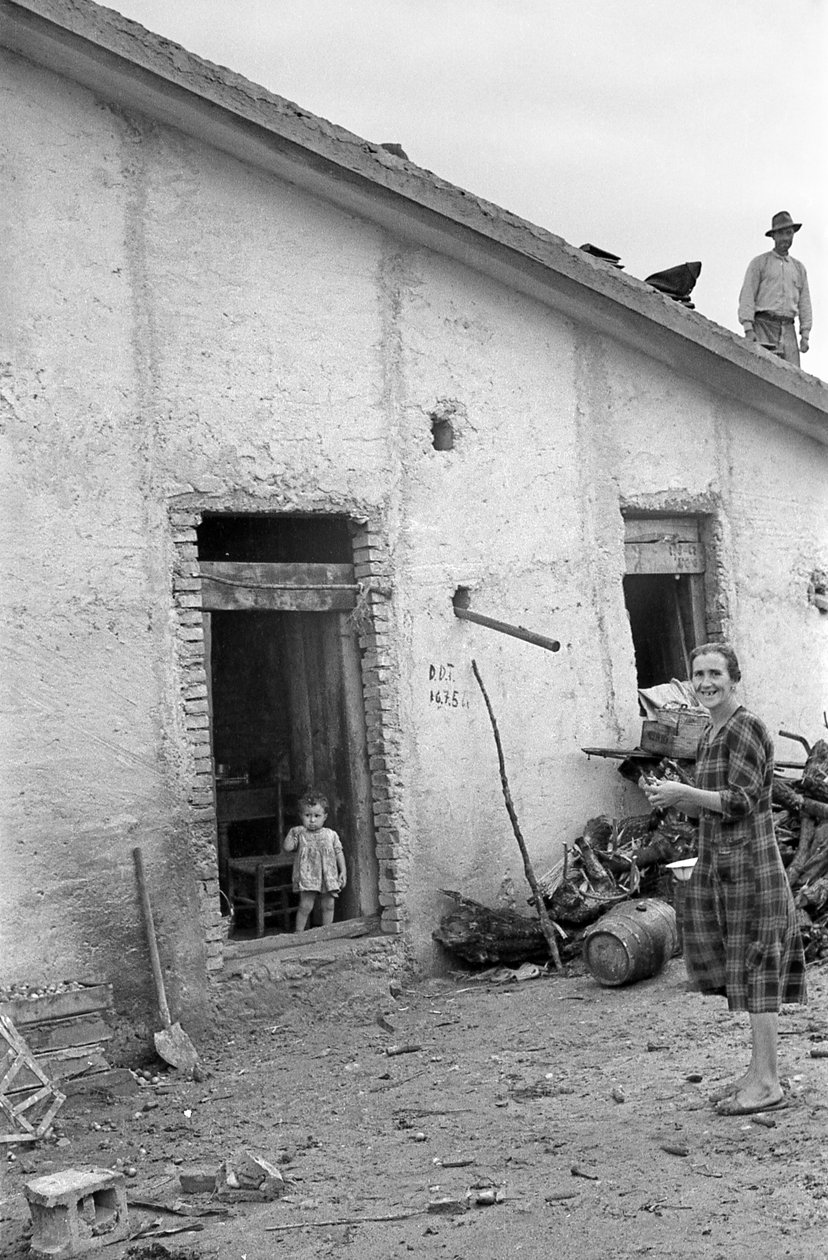 CROTONEN MAASEUTU - VIHDOIN KATTO! tekijältä Ando Gilardi