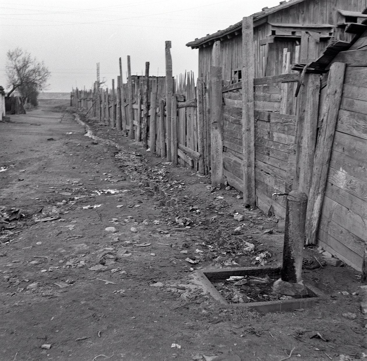 VUOSINELJÄNNEKSEN LOPUSSA SHANGHAI tekijältä Ando Gilardi
