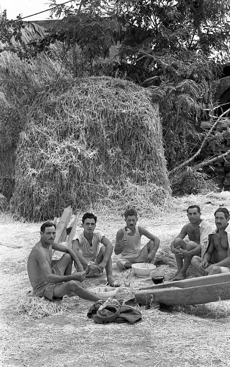 HAMPUN JALOSTUS, LYHYT VIRVOITUS tekijältä Ando Gilardi