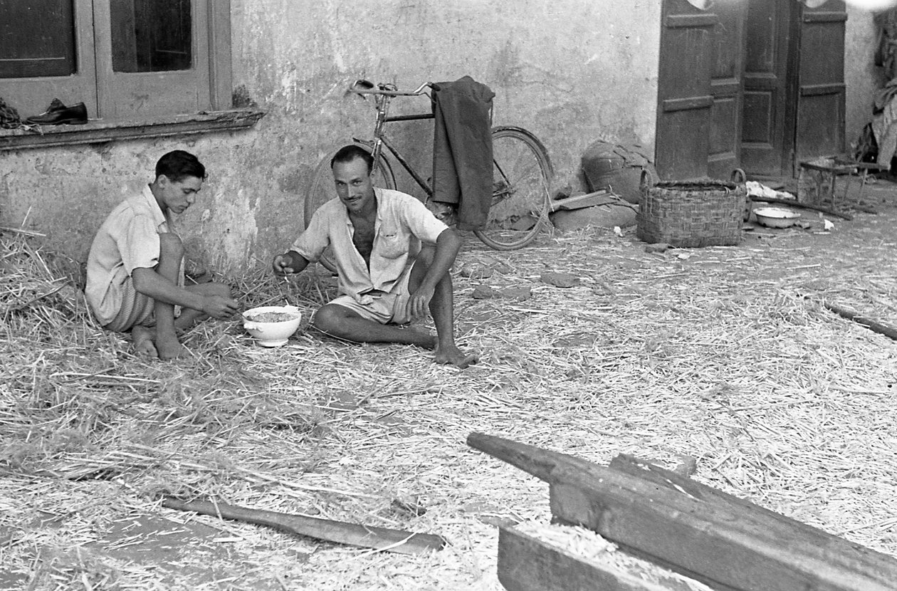 HAMPUN JALOSTUS, JAETTU KEITTO tekijältä Ando Gilardi