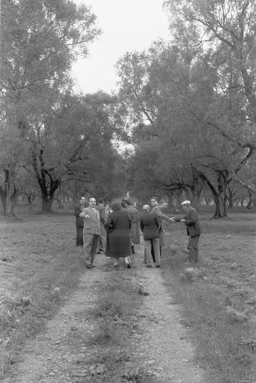 AMMATTIYHDISTYSAKTIVISTIT OLIIVILEHDOSSA tekijältä Ando Gilardi