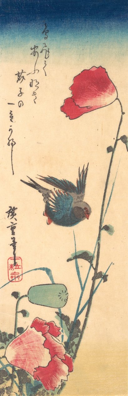 Sinilintu ja unikot, 1832-34, 1832-34. tekijältä Ando Hiroshige