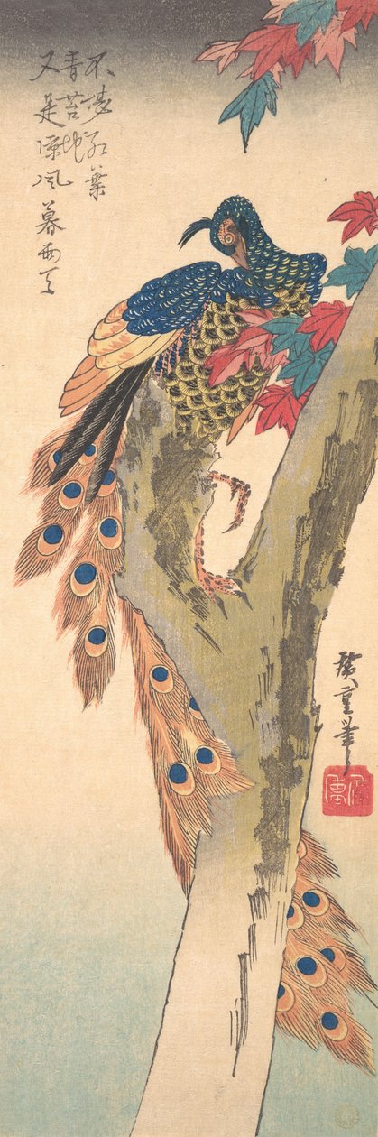 Riikinkukko istui vaahterapuussa, n. 1833, n. 1833. tekijältä Ando Hiroshige
