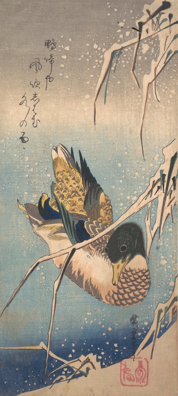 Villi ankka lähellä lumista rantaa, n. 1843, n. 1843. tekijältä Ando Hiroshige