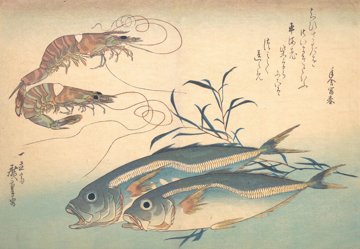 Aji Fish ja Kuruma-ebi, sarjasta Uozukushi Every Variety of Fish, 1830s., 1830s. tekijältä Ando Hiroshige