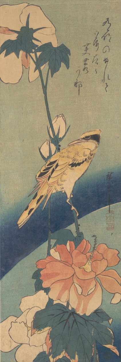 Mustanaped Oriole kyydissä ruusun mallow varren päällä, n. 1834, n. 1834. tekijältä Ando Hiroshige