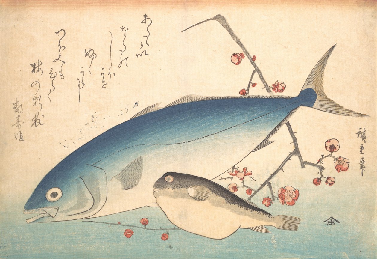 Fugu ja Inada Fish, sarjasta Uozukushi Every Variety of Fish, 1840s., 1840s. tekijältä Ando Hiroshige