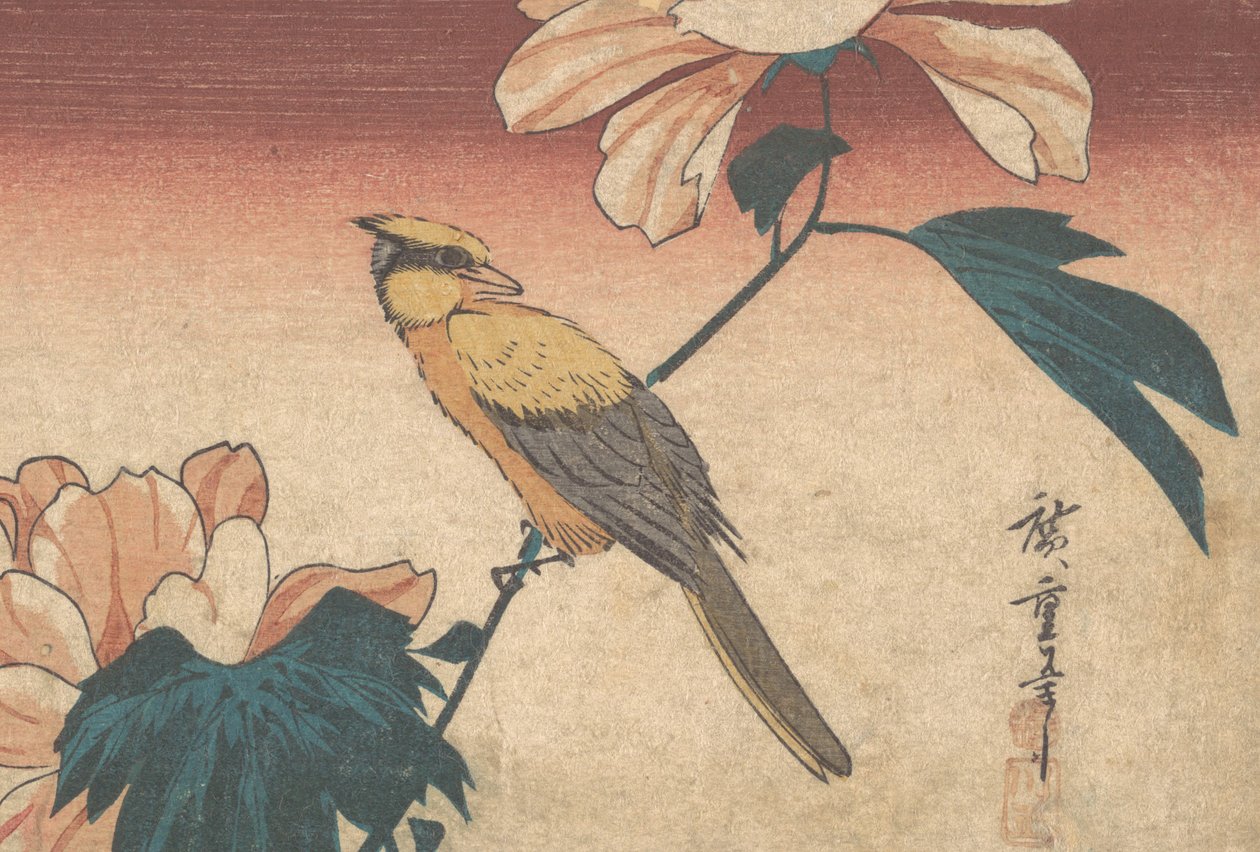 Hibiscus Mutabilis ja Jay, n. 1840, n. 1840 tekijältä Ando Hiroshige