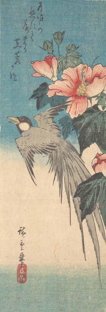 Hibiscus Mutabilis ja pitkähäntälintu, n. 1842, n. 1842. tekijältä Ando Hiroshige