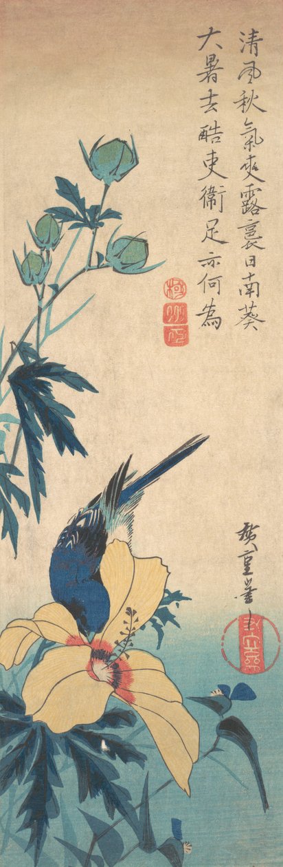 Hibiscus ja Bluebird, n. 1832, n. 1832. tekijältä Ando Hiroshige