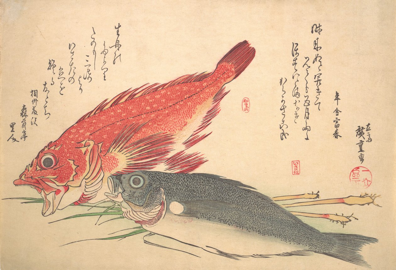Isaki ja Kasago Fish, sarjasta Uozukushi Every Variety of Fish, 1830s., 1830s. tekijältä Ando Hiroshige