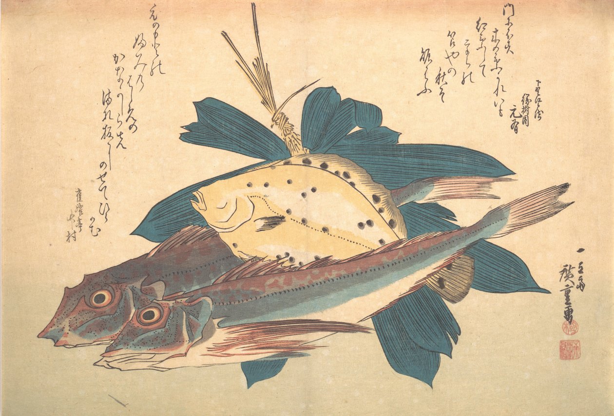 Kanagashira ja Karei Fish, sarjasta Uozukushi Every Variety of Fish, 1830s., 1830s. tekijältä Ando Hiroshige