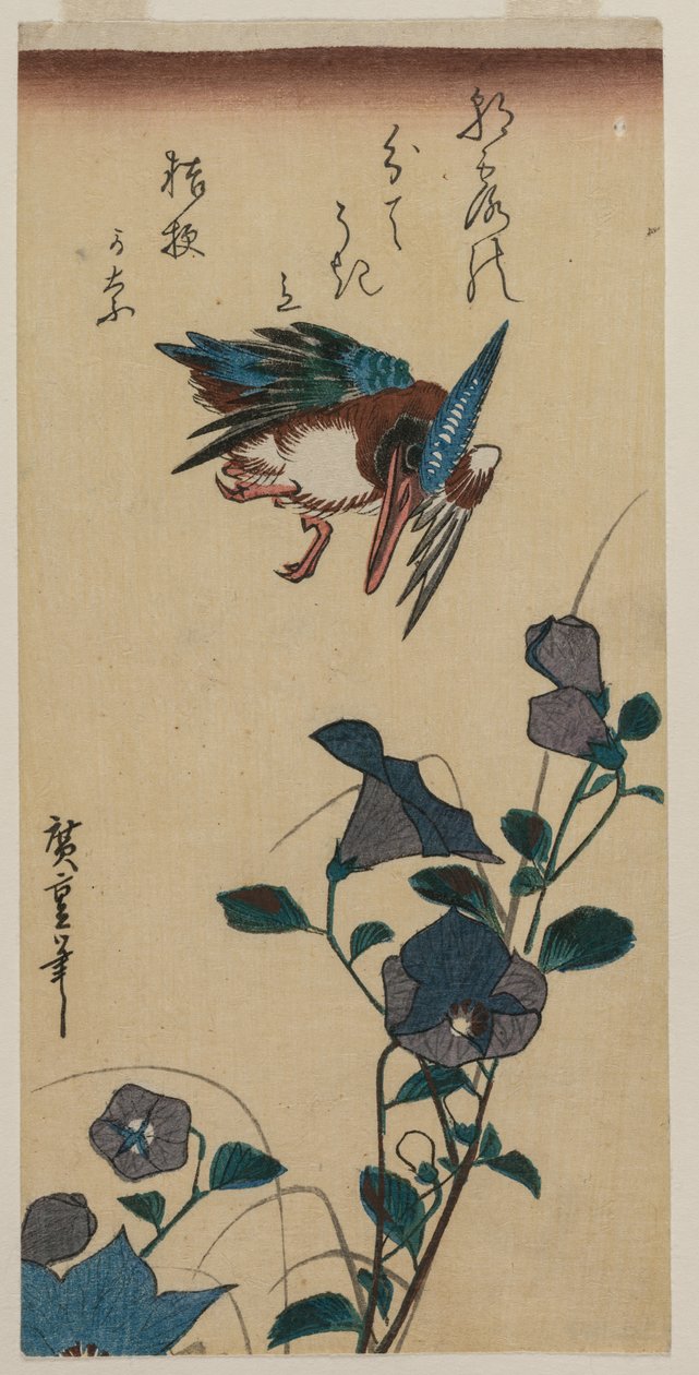 Kingfisher ja Chinese Bellflowers, 1830-luvun alussa tai puolivälissä. tekijältä Ando Hiroshige