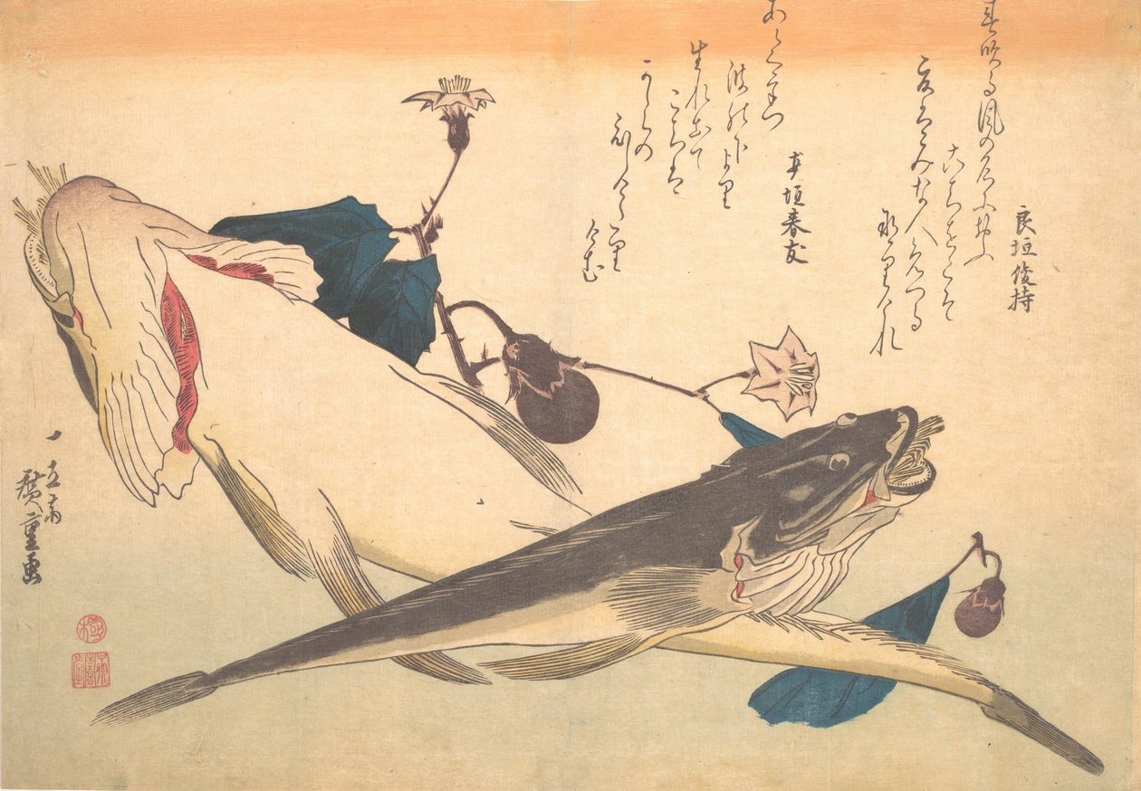 Kochi Fish with Eggplant, sarjasta Uozukushi Every Variety of Fish, 1830s., 1830s. tekijältä Ando Hiroshige