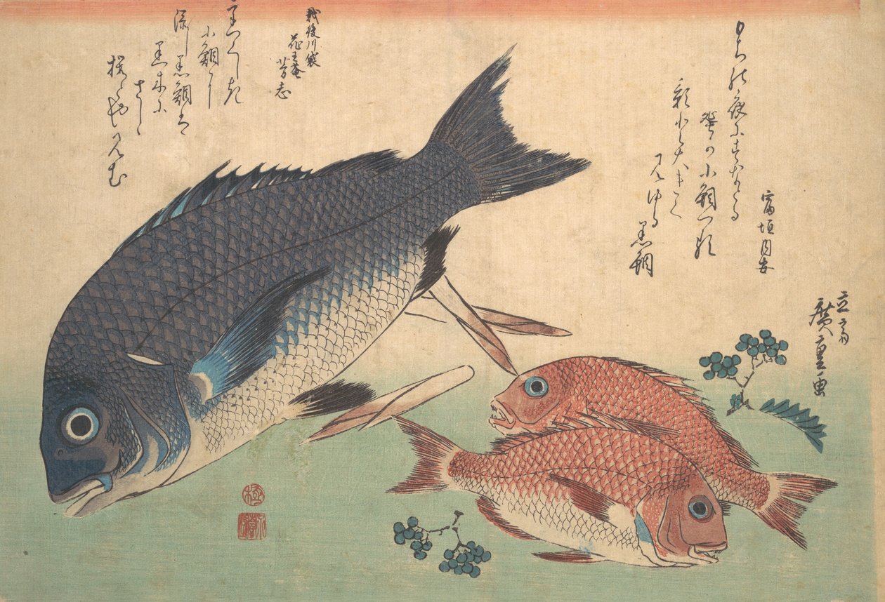 Kurodai- ja Kodai-kala bambunversoilla ja marjoilla, sarjasta Uozukushi Every V..., 1830-luku. tekijältä Ando Hiroshige