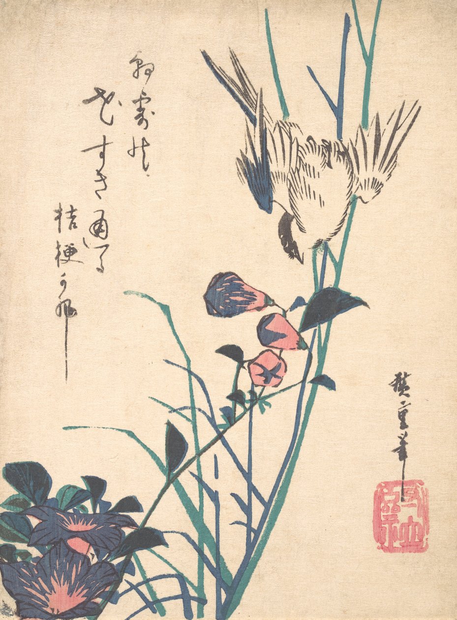 Suurikukkainen Flat Bill ja Sparrow, n. 1833, n. 1833. tekijältä Ando Hiroshige