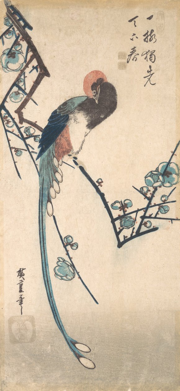 Pitkähäntäinen lintu. tekijältä Ando Hiroshige