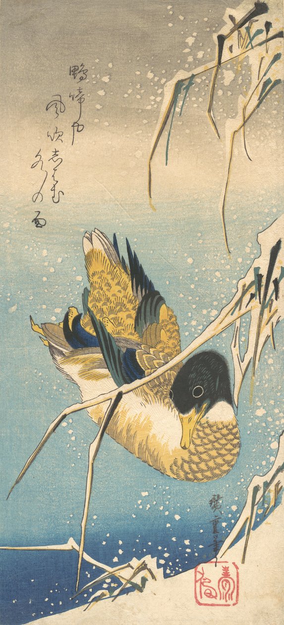 Ànec collverd i canyes cobertes de neu, ca. 1832., ca. 1832. finlandès tekijältä Ando Hiroshige