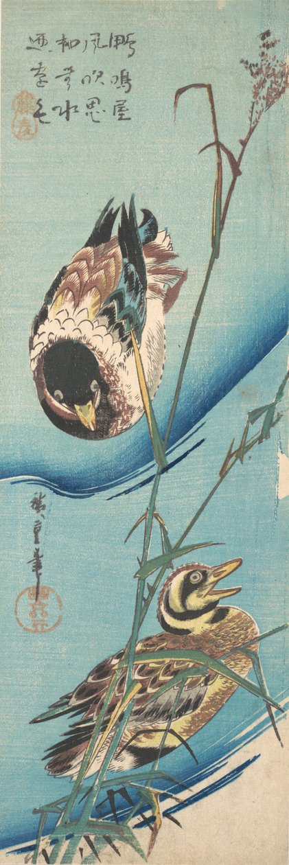 Sinisorsat ja lumiset ruokot, n. 1843, n. 1843. tekijältä Ando Hiroshige