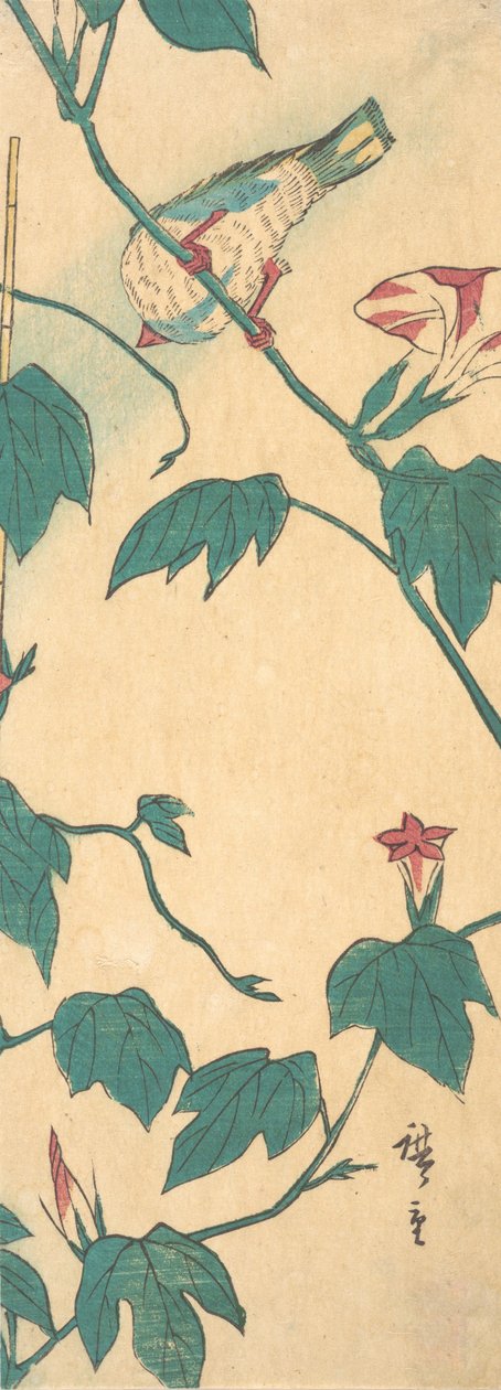 Morning Glories and Bird, 1840-50, 1840-50. tekijältä Ando Hiroshige