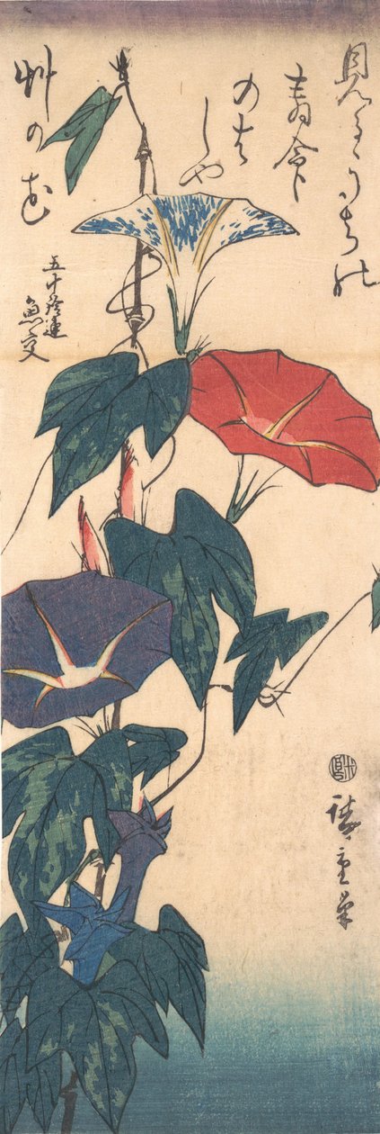 Morning Glories, n. 1843, n. 1843. tekijältä Ando Hiroshige