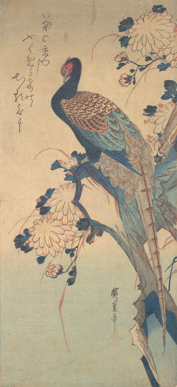 Fasaani krysanteemilla, n. 1835, n. 1835. tekijältä Ando Hiroshige