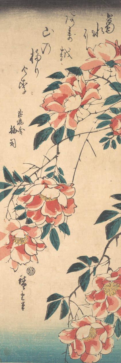 Ruusut, n. 1843, n. 1843. tekijältä Ando Hiroshige