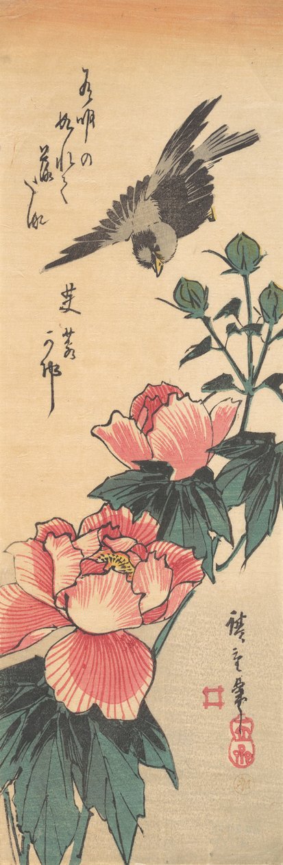 Sparrow ja Hibiscus, n. 1834, n. 1834. tekijältä Ando Hiroshige